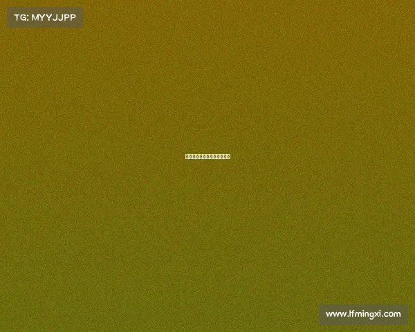 击剑赛事图片、击剑比赛赛制